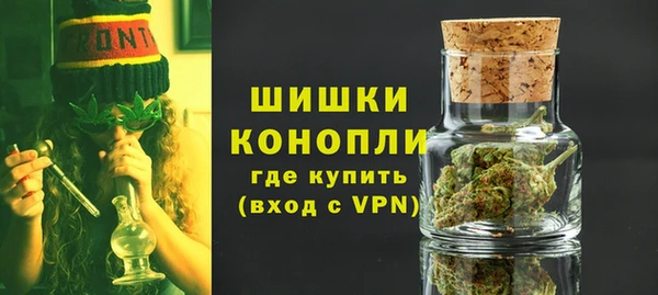 прущие грибы Покачи