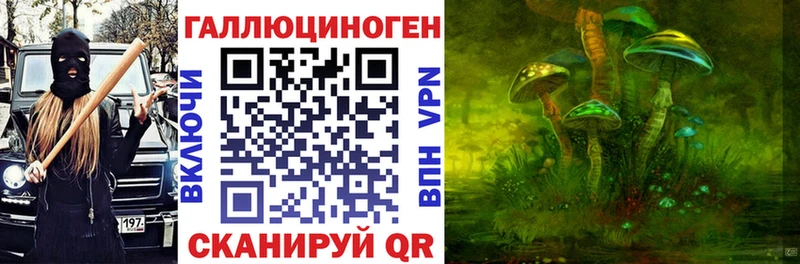 даркнет сайт  Шацк  Псилоцибиновые грибы мухоморы 