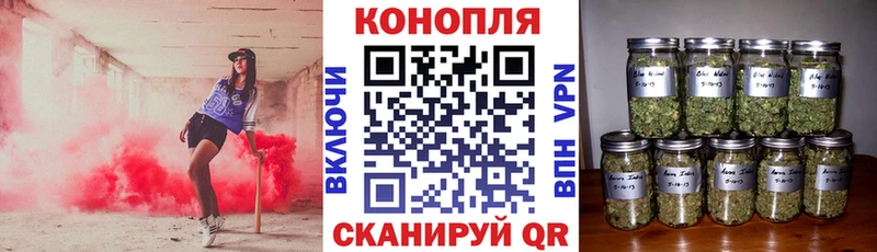 Канабис OG Kush  Шацк 
